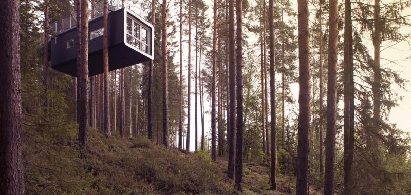 TREE HOTEL SUECIA